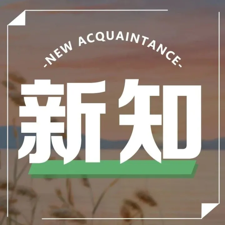 《npj-学习科学》期刊：观看短视频损害认知机制