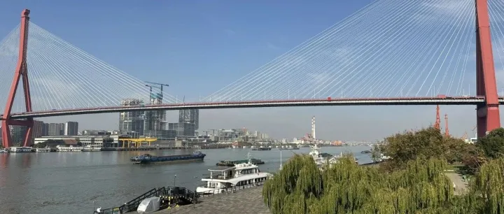 震惊！！跨境电商卖宠物骨灰盒，在这个美国本土平台，月赚19w美金！