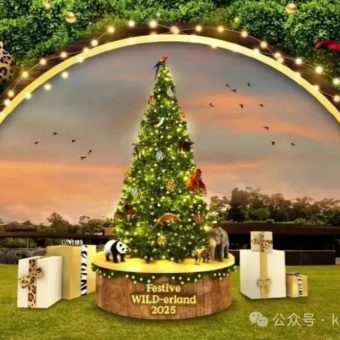 2025终极圣诞玩法已解锁！乌节路、滨海湾…这些神仙打卡地美炸了