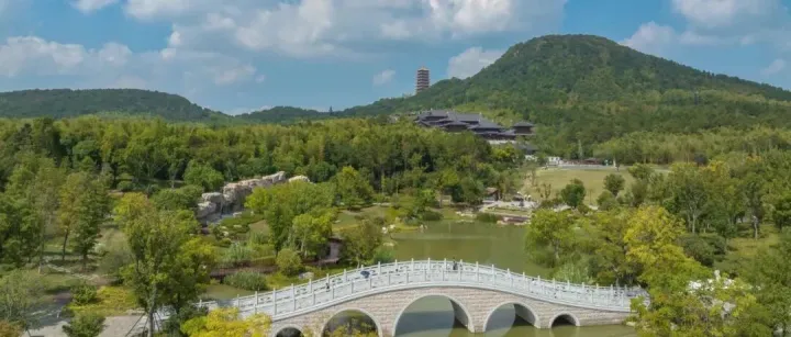 冬护绿意 蓄力春芳｜牛首山项目织密绿化越冬“防护网”