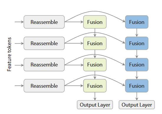 图3｜双分支 DPT 头结构：两个分支共享重组模块以保持特征对齐：一支生成深度图，另一支输出射线图。共享特征空间让模型在重建几何时更稳定、更精准