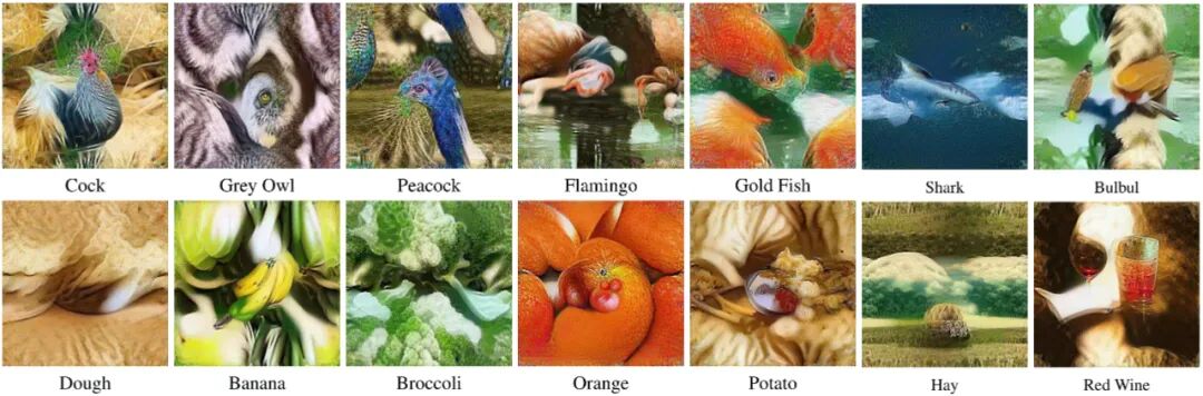 图 3  WMDD 在 ImageNet-1K 上蒸馏的合成图像（10 IPC）。尽管每类只有 10 张图像，但它们都呈现出该类别的典型视觉特征，可解释性强