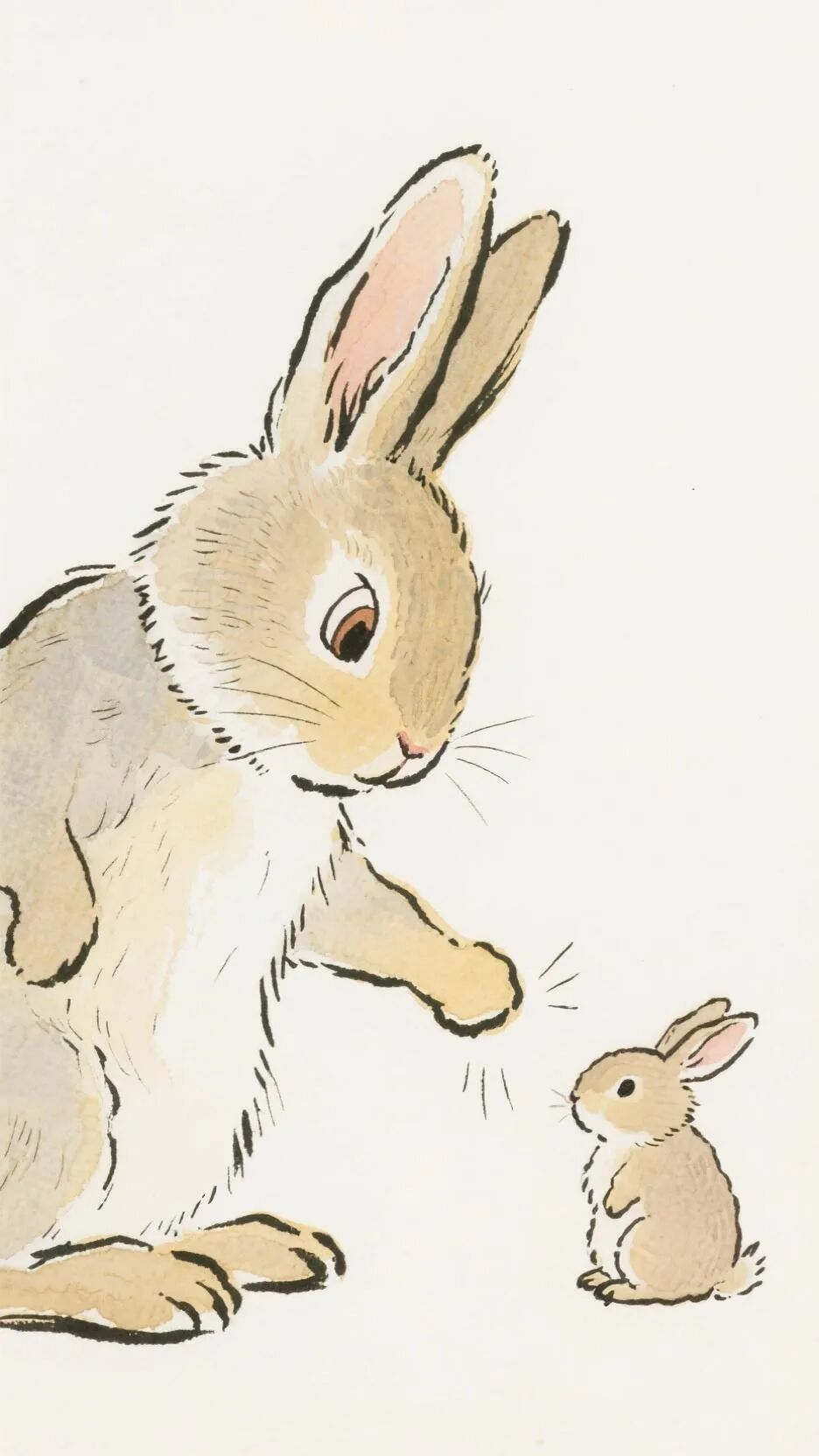 未命名项目-图层 1 (19).jpeg