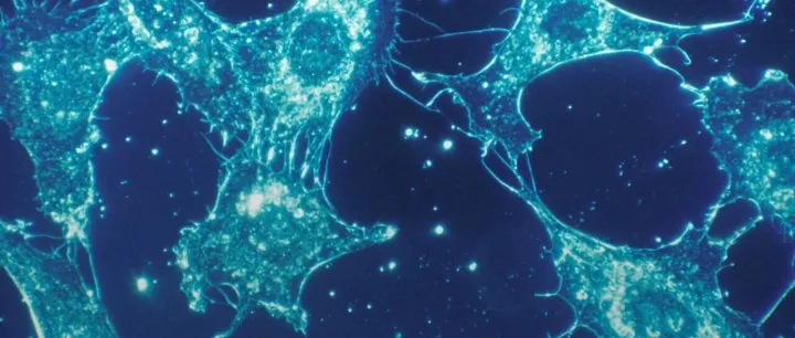 癌王攻坚战：十二年，从“治疗荒漠”到“希望星火”