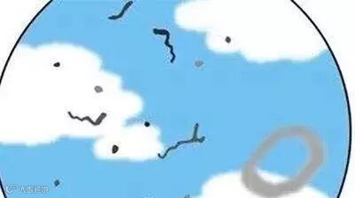 点击查看源网页