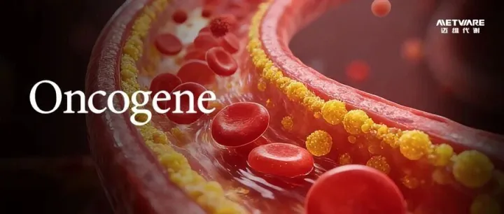 项目文章 | 喜讯！哈医大李水洁团队揭示胆固醇合成限速酶SQLE驱动膀胱癌进展机制