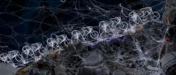 科技赋艺，回声未来 ｜索尼助力影像青年艺术家：韩杨