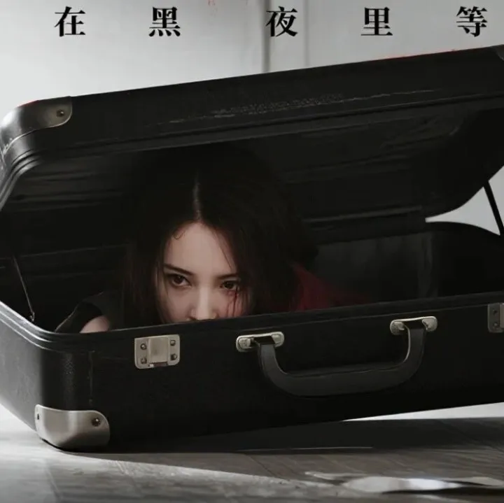 行李箱里的嫂子【纪实故事】