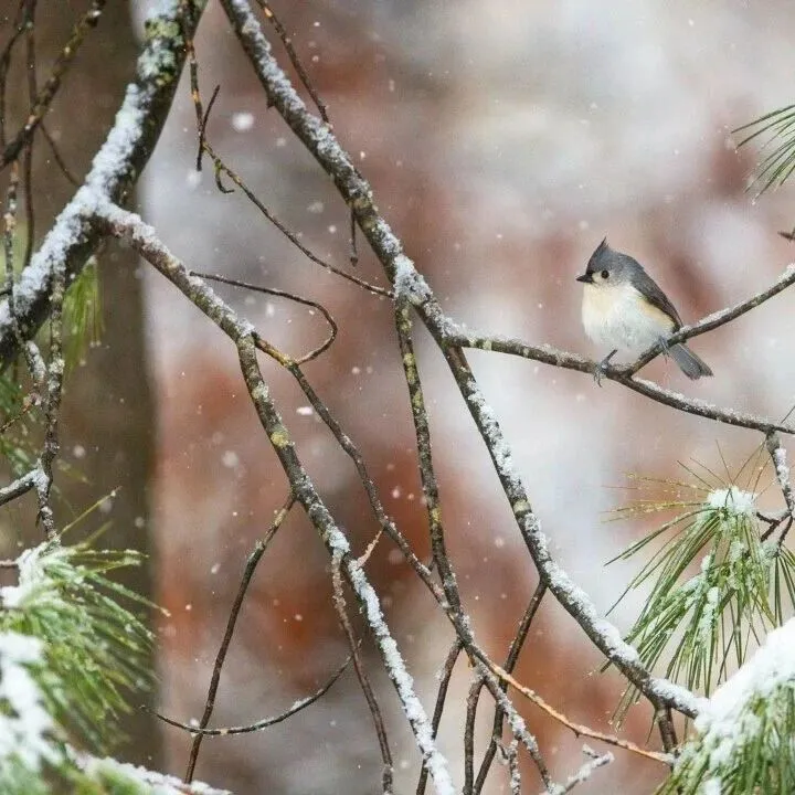 12月14日周日 | 每日一图