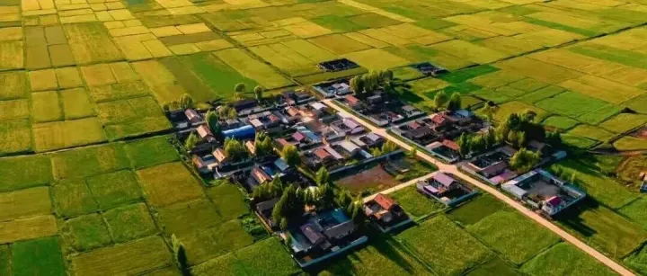 自愿有偿退出宅基地的改革试点，为什么是重庆和通州？