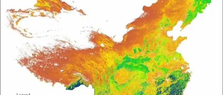数据资源：中国2000-2024年500m分辨率逐月叶面积指数（LAI）数据集