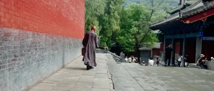 印乐上任首月，少林寺的变与不变