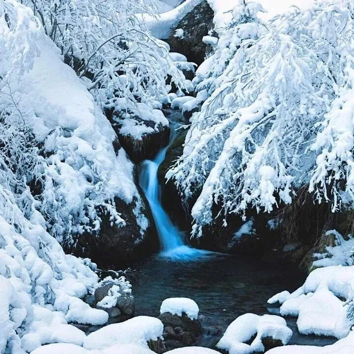 11月30日周日 | 每日一图