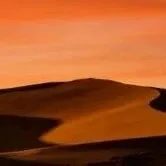 骨科龙头重磅收购