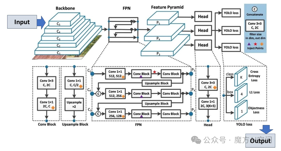 图 8：YOLOv8 架构：展示关键组件及其连接。 主干网络通过多个卷积层（C1至C5）处理输入图像，提取层次特征。然后这些特征通过特征金字塔网络（FPN）创建特征金字塔（P3、P4、P5），从而增强不同尺度的检测。网络头执行最终预测，结合卷积块和上采样块来细化特征。