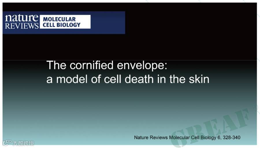 从图库选择图片