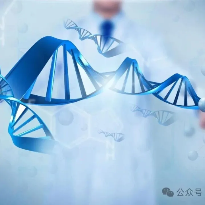 2025全球分子诊断市场报告第13版：现状、<em>趋势</em><em>与</em><em>未来</em><em>展望</em>