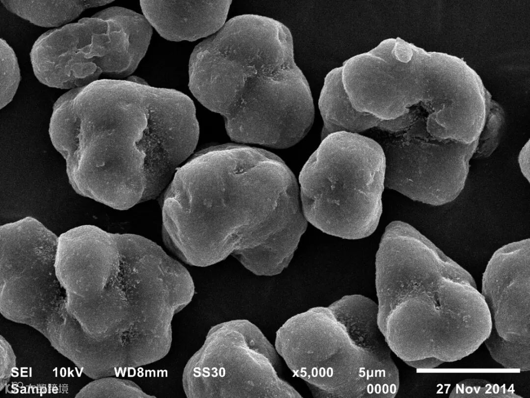 化学碳粉颗粒电镜图_副本.jpg