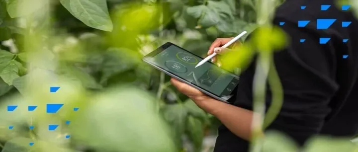 领先的制糖企业 RES，如何把员工体验做到更“甜”？