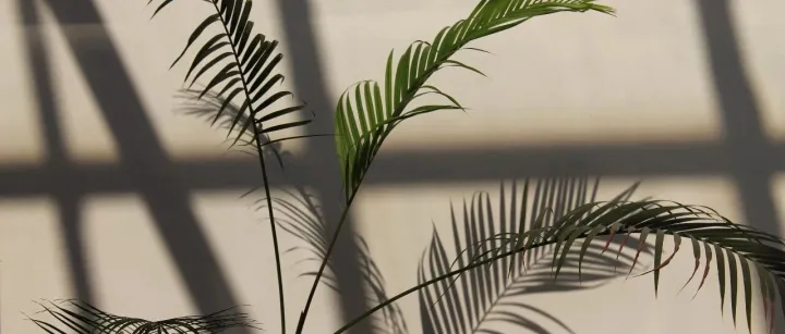 隐藏在春天里的迷人瞬间