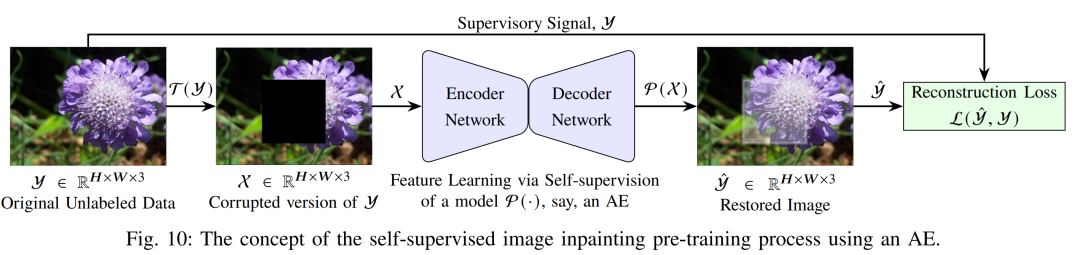 图10：利用AE进行自监督图像补全预训练概念图”
