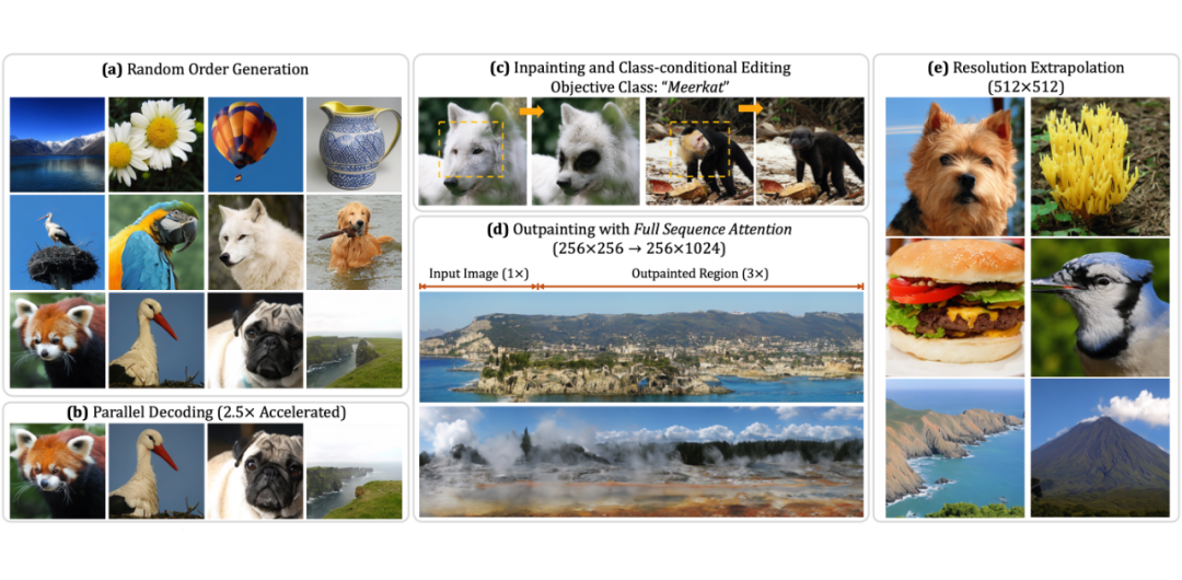 ▲ RandAR：任意顺序图像生成解锁 Zero-shot Capabilities