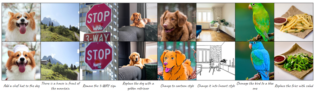 图11：图像编辑结果。轻量级微调后，图像编辑的能力可以很容易地从图像重建迁移获得