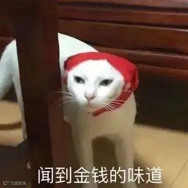 点击查看图片来源