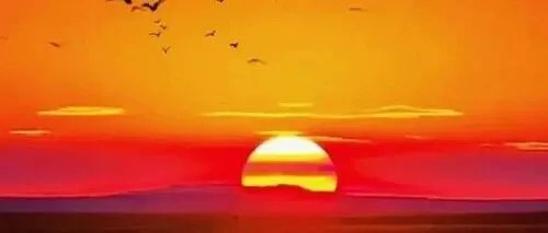 不与命运较劲：论宽容自己的人生智慧