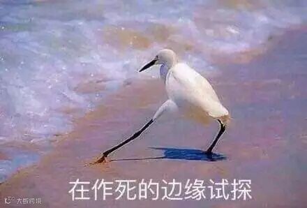 点击查看源网页