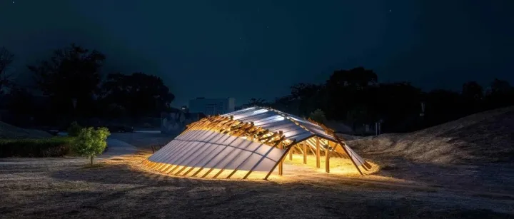 雕诉万象 | 当远古生<em>物化</em>为艺术装置：木构与帆布重塑海洋的原始力量