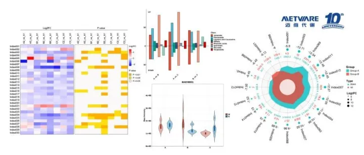 被导师追着问的图，原来是这么“加技能”的！