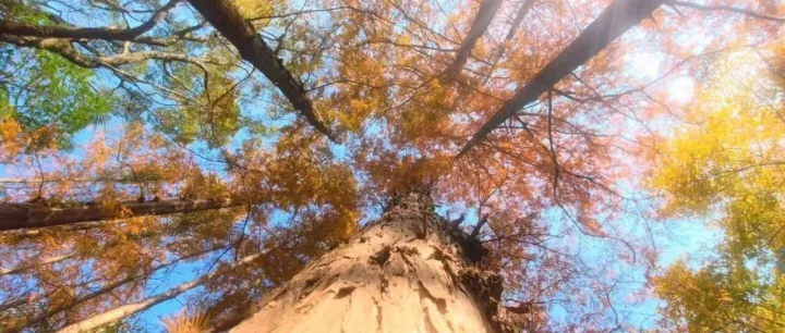 <em>LinkedIn</em> 發(fā)布動(dòng)態(tài)吸引力法則