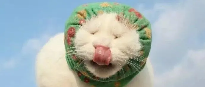 12月14日晚21:30，钓鱼俱乐部帽子，微信urelaine666，不定时上新，卖完即删