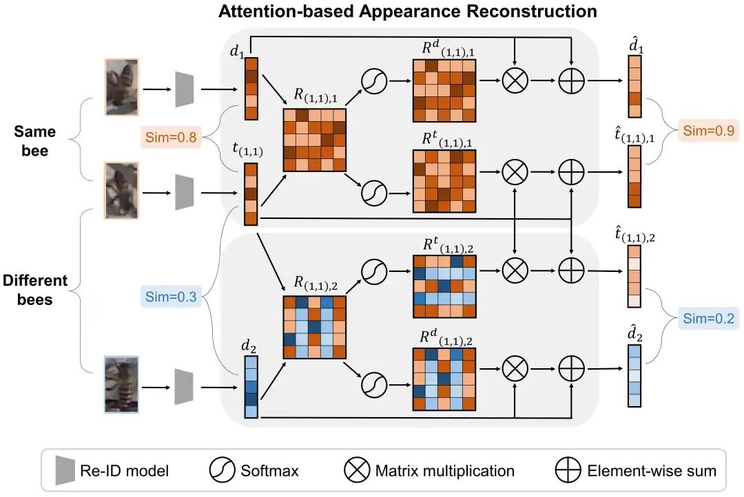 图5：AARM的原理图