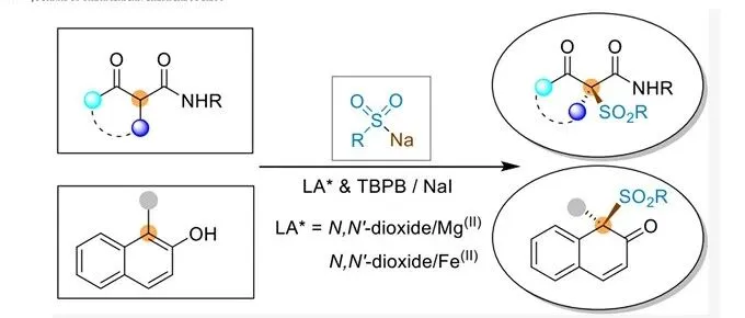 「Spotlight Research」∣四川大学 2-萘酚/β-酮酰胺与亚磺酸钠的不对称自由基磺酰化