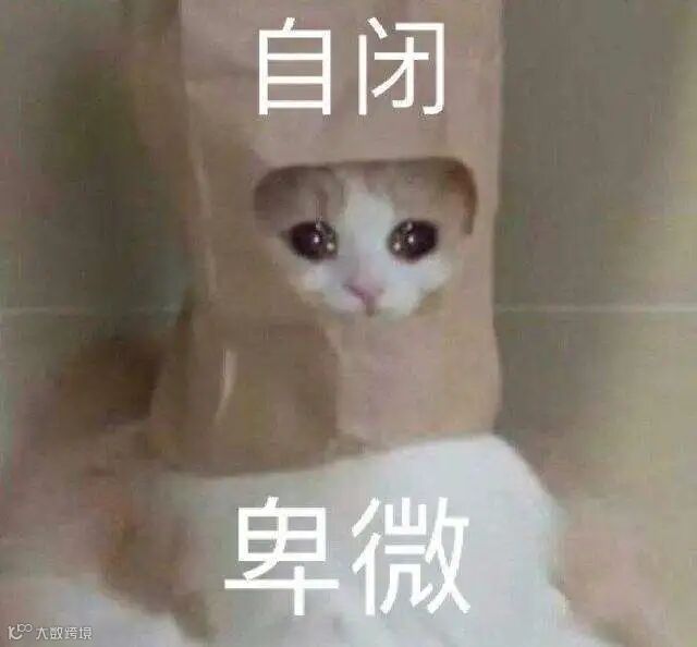 点击查看源网页