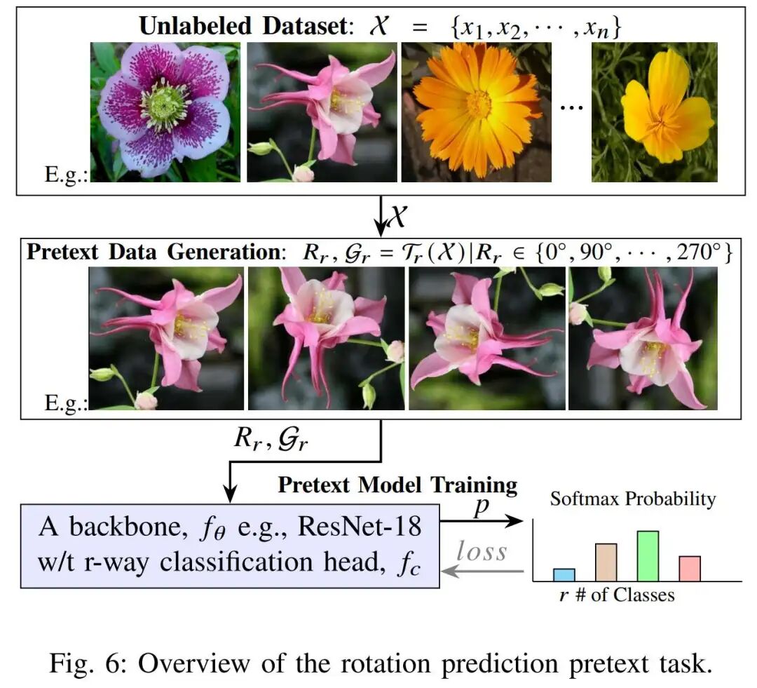 图6：旋转预测任务概述