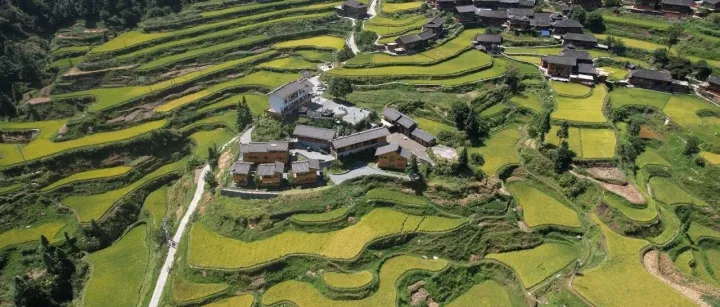 中国三星CSR新三年战略收官 扎实履行社会责任