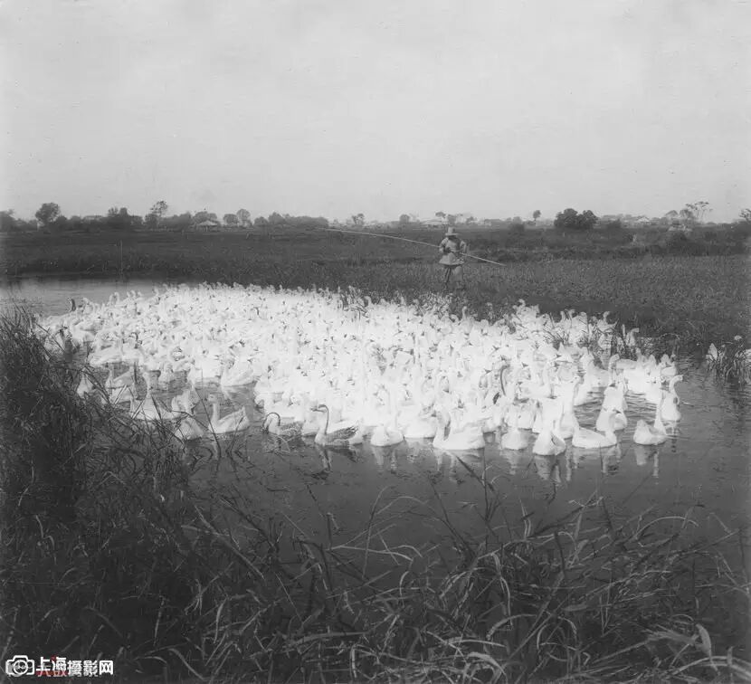 法国摄影师珍贵照片 展示100 年前的繁华旧上海_15_1