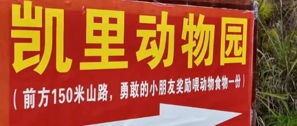 我们的凯里动物园