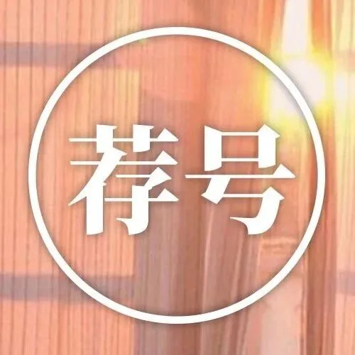 辞掉稳定工作，去加拿大做骄傲的女木工