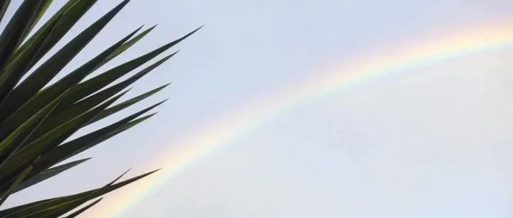 如果夏天有颜色 If Summer Has Color ...