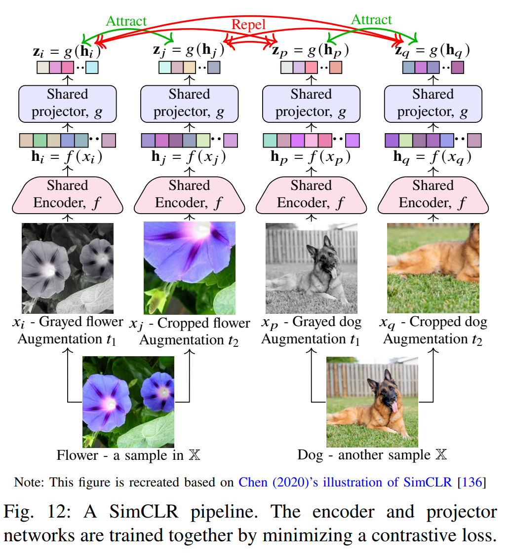 图12：SimCLR流程图