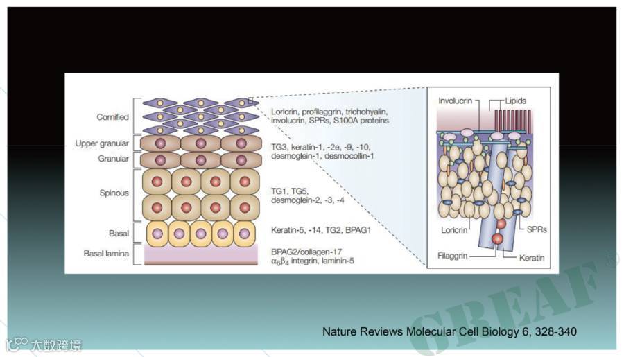 从图库选择图片