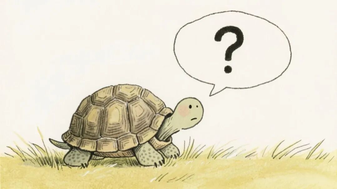 未命名项目-图层 1(30).jpeg