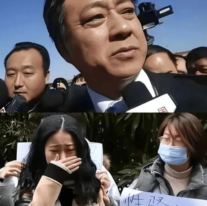 央视一哥朱军“社死”七年祭：他用法律赢得真相，却输了整个人生