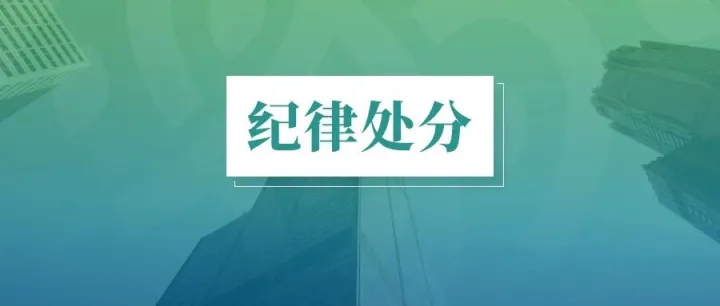 大信所及3名注会被纪律处分，此前已被罚没1449万