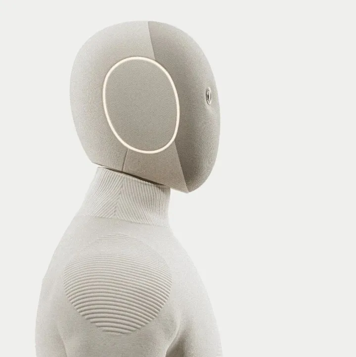 全球私募巨头，租10000台机器人