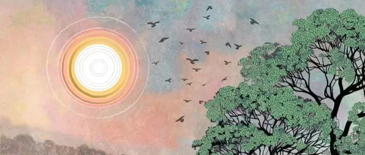 短线的胜利也是取祸之道